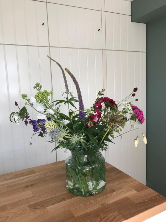 B&B Trefkerk Appelscha Luaran gambar